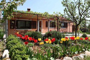 Exterior - Holiday home with pool and air conditioning (Tinjan)
