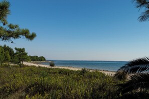Beach nearby - Holiday apartment with barbecue facilities and terrace (Vir)