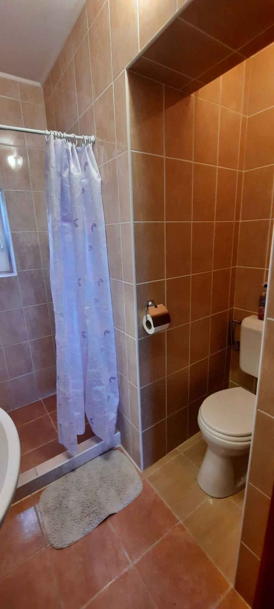 A bathroom with a shower curtain, toilet, and a small rug on the floor.