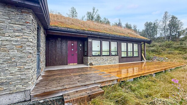 Ett modernt hus med en fasad av sten, en träaltan och ett grönt tak.