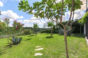 Property grounds - Villa WITH POOL AND GARDEN (Momjan)