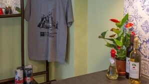 Une pièce avec une table, une chaise suspendue, une lampe, une plante en pot et des bouteilles sur la table.