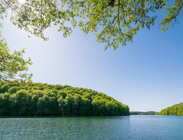 A serene lakeside view with dense green foliage and a clear blue sky. - Kaiserhof Feldberg Belvilla Resorts-standard Suite (Feldberger Seenlandschaft)