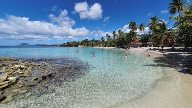 Una playa con agua cristalina, palmeras y una montaña distante.