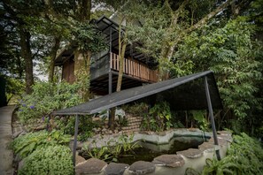 Comfort Studio, Mountain View | Property grounds - Casa ficus Monteverde  (Monteverde)