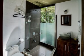 Basic Studio, Mountain View | Bathroom | Shower, towels, soap, toilet paper - Casa ficus Monteverde  (Monteverde)