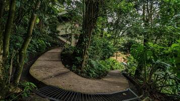 Deluxe House, Mountain View | Property grounds