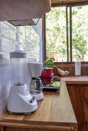 Mini-fridge, microwave, coffee/tea maker, cookware/dishes/utensils - Casa ficus Monteverde  (Monteverde)