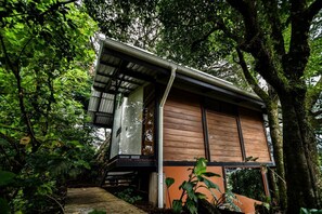 Comfort Studio, Mountain View | Exterior - Casa ficus Monteverde  (Monteverde)