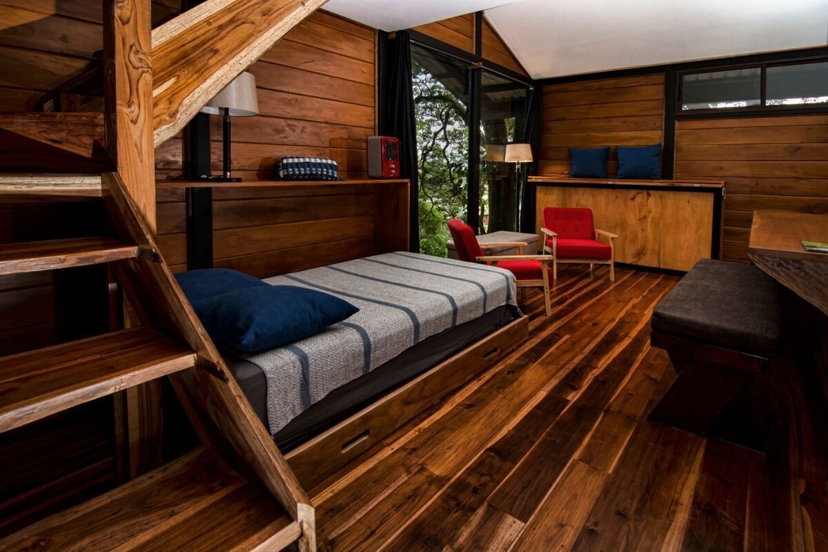 A compact wooden cabin with a loft bed, a red chair, a small table, and a view of the outdoors.