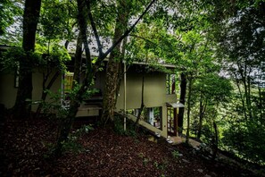 Deluxe House, Mountain View | Exterior - Casa ficus Monteverde  (Monteverde)