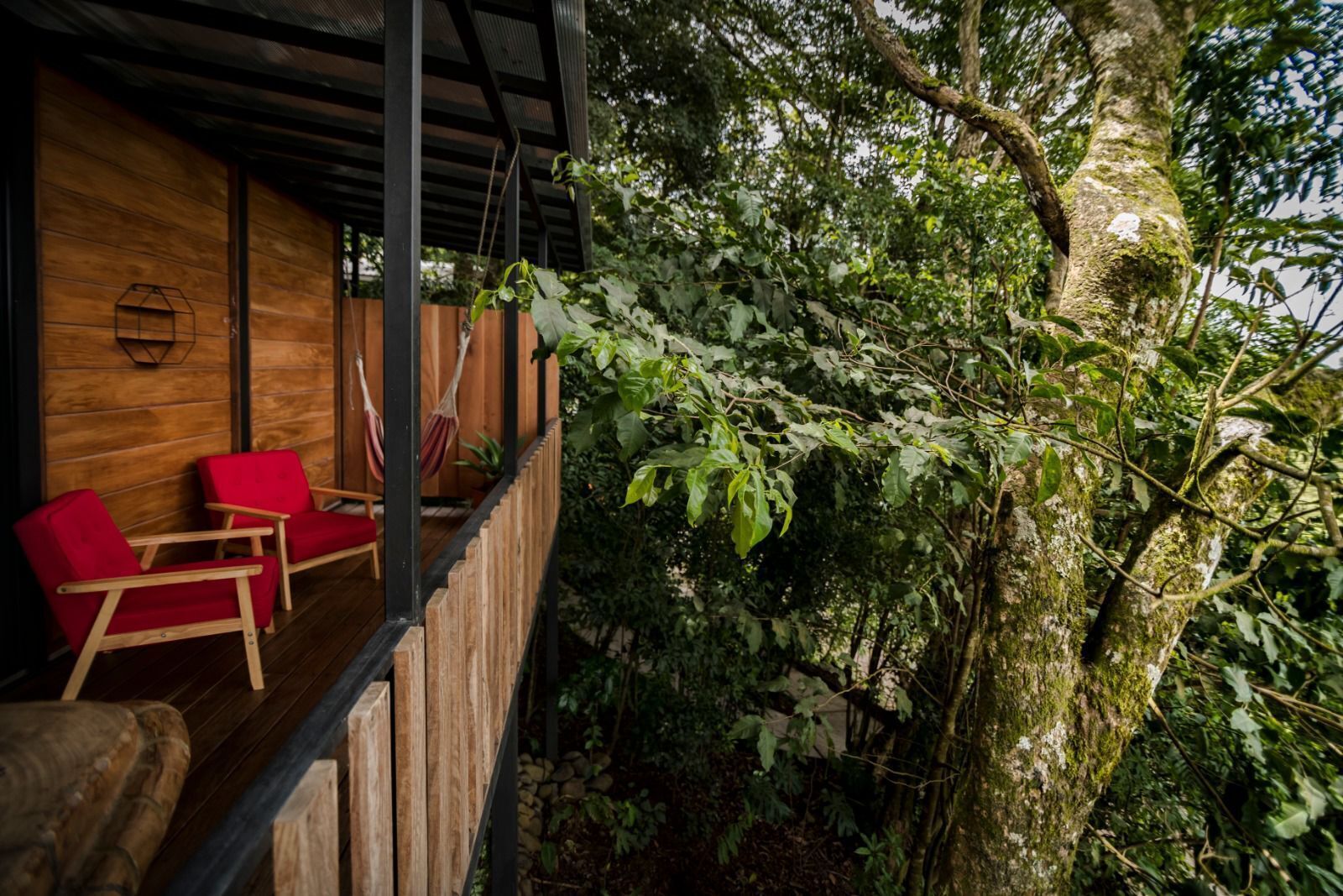 Comfort Studio, Mountain View | Terrace/patio