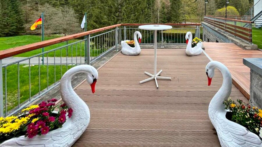 Schwarzbachtal-double Room Forest View