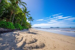 Una playa con palmeras y cielo despejado.