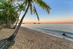 A beach with palm trees and calm water. - Belle Escapes Life's A Beach with Heated Pool (Clifton Beach)