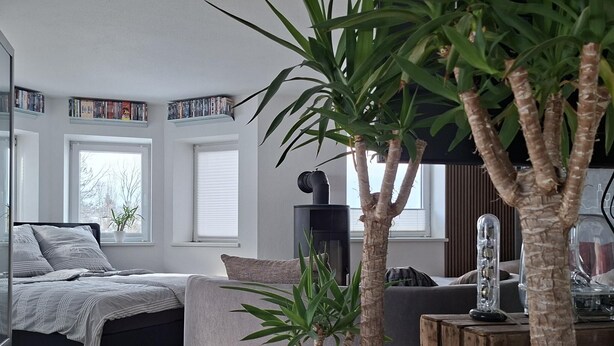 Ein modernes Schlafzimmer mit einem Bett, einem grauen Sofa und einem Holztisch. Es gibt Fenster mit Jalousien, ein Bücherregal und einen Blumentopf.
