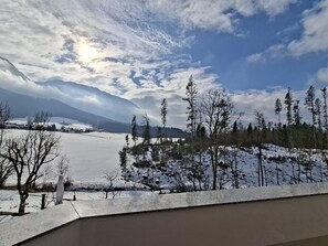 Property grounds - Mountain View Apartment: Private IR-Cabin & BBQ (Schwoich)
