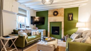 TV, fireplace, books