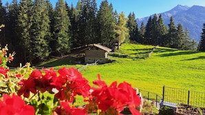 A rural landscape with a wooden cabin, green fields, and a mountain in the background.