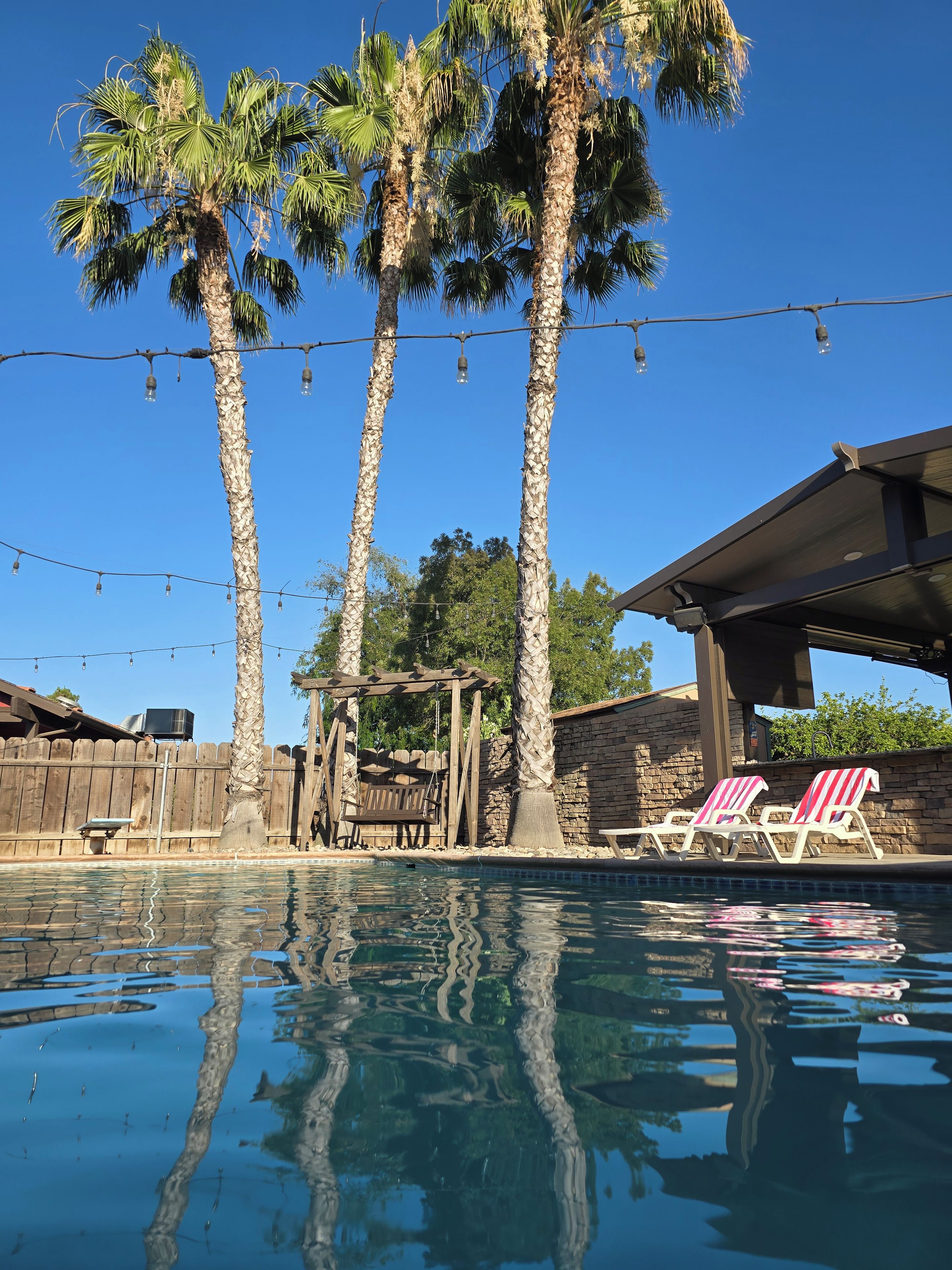 A swimming pool with palm trees, a wooden swing set, and a covered patio area.
