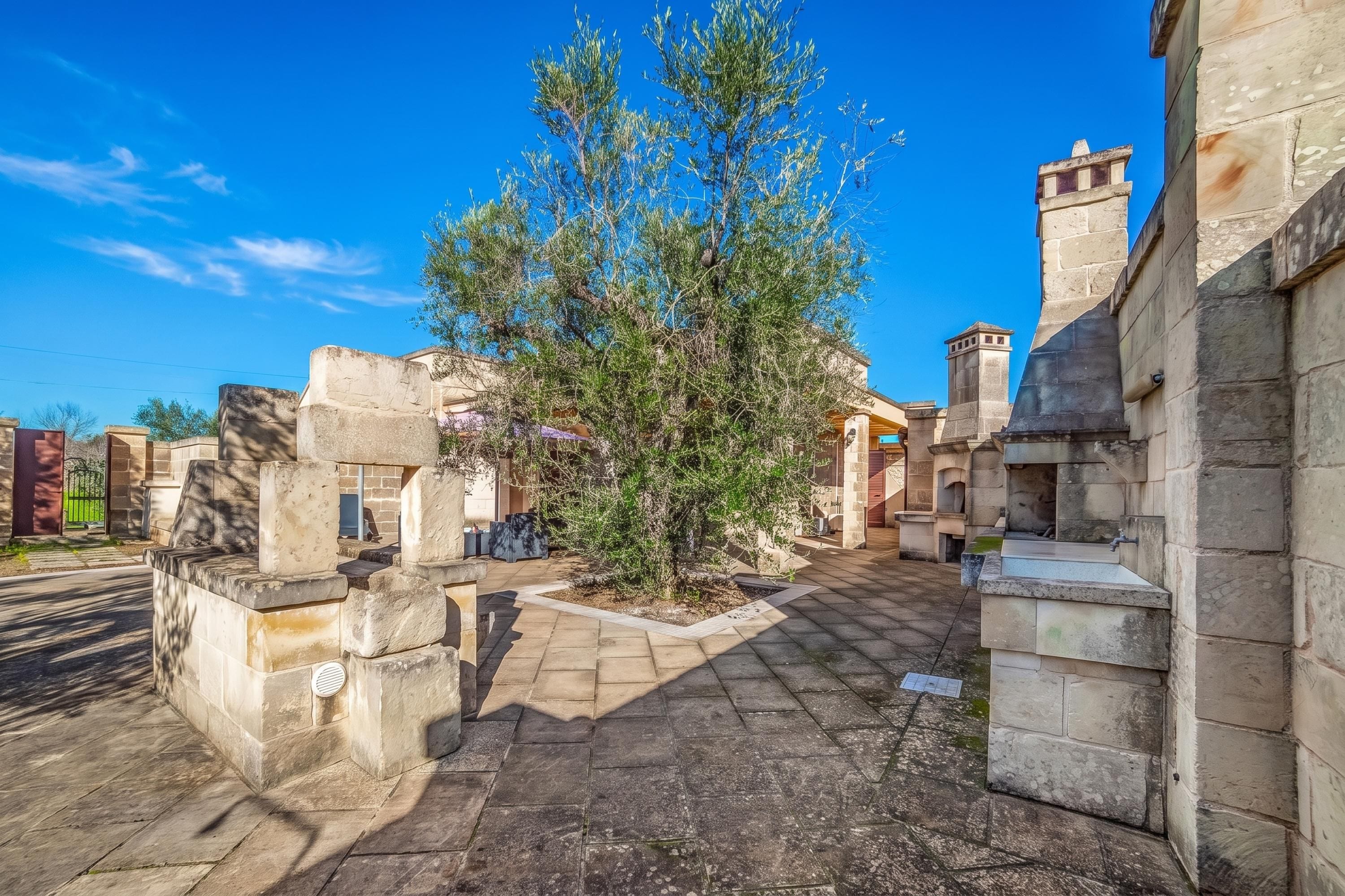 A courtyard with stone walls, a central tree, and a paved walkway.