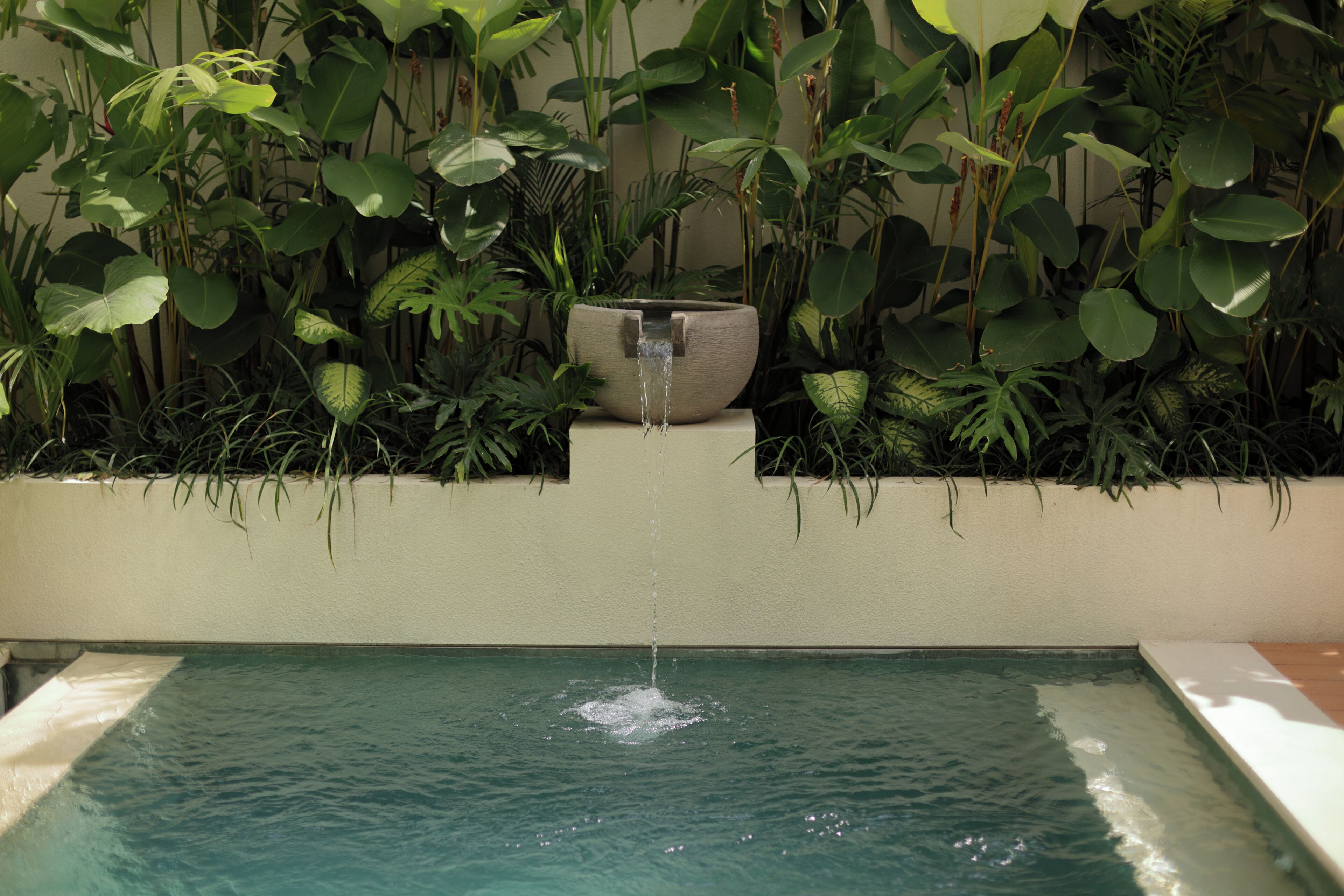 Una piscina rectangular con cascada, rodeada de abundante follaje verde.