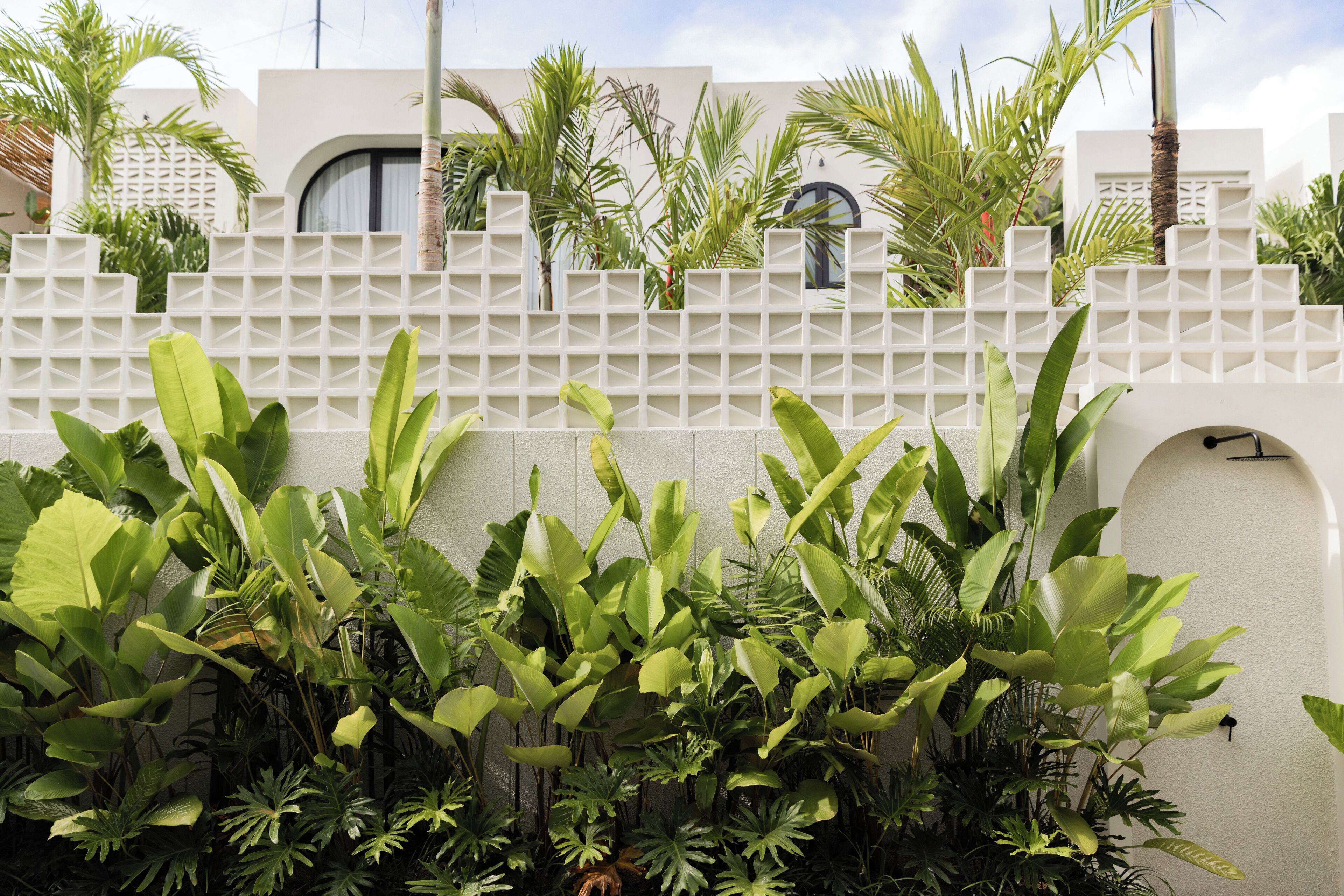 A white wall with a geometric pattern, surrounded by lush tropical plants.