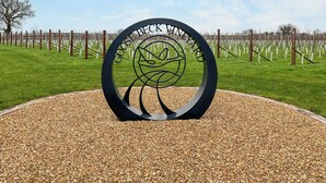 Un cartello metallico circolare con la scritta "CHOOSE BECK VINEYARD" immerso in un vialetto sterrato.