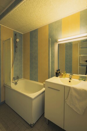 Hair dryer, towels, soap, toilet paper - Cosy, spacious apartment in Roanne in a quiet residence. (Roanne)