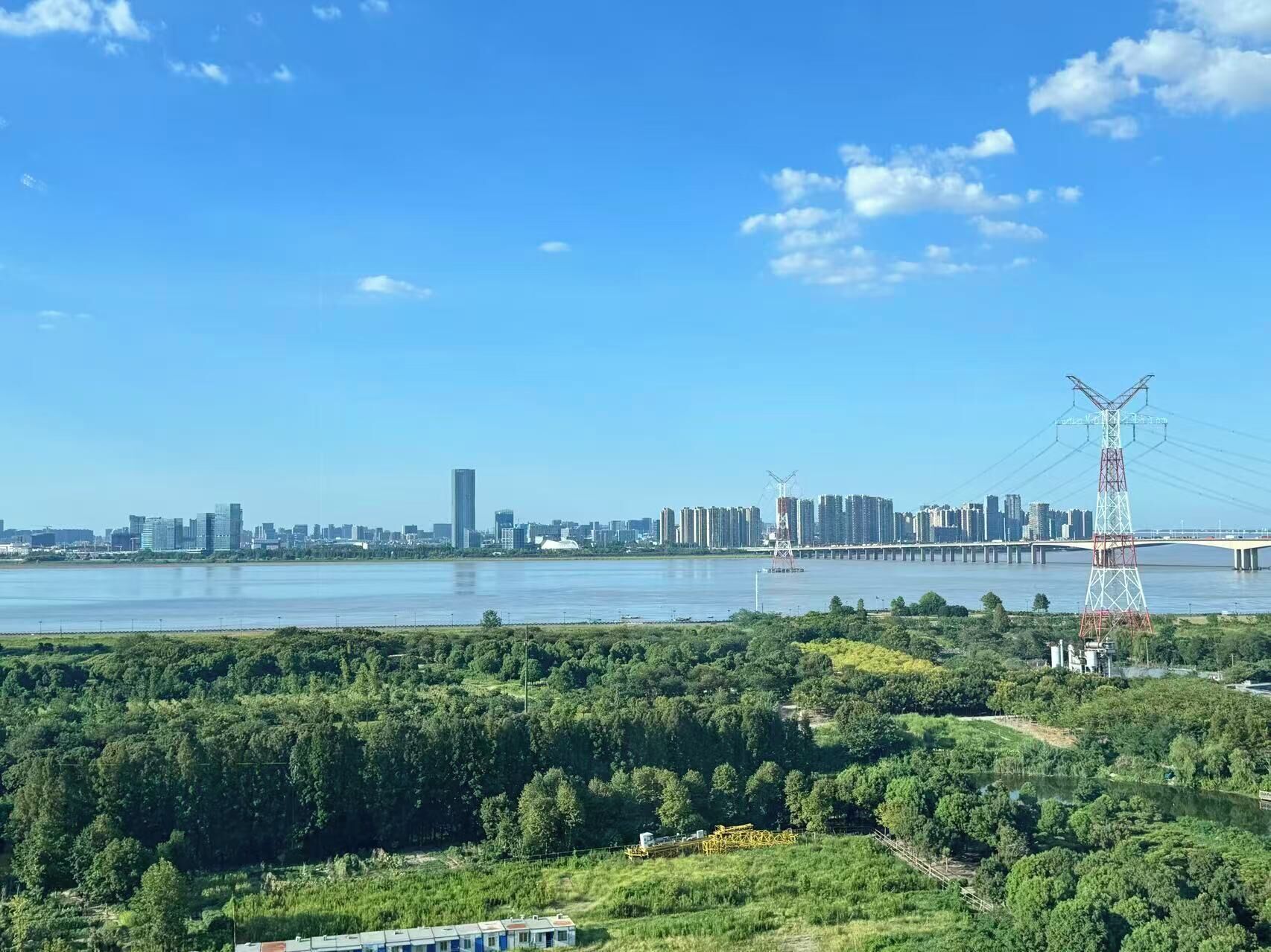 A city skyline with a river, a bridge, and a dense forest in the foreground.