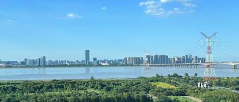 A city skyline with a river, a bridge, and a dense forest in the foreground.