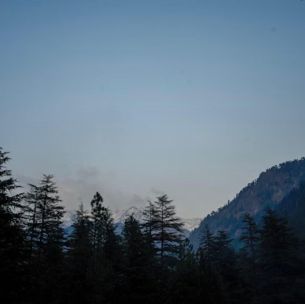 Un paysage montagneux boisé, avec des arbres denses et un ciel dégagé.