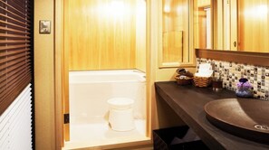 Un bagno piccolo ma funzionale, con il water, un lavandino e uno specchio.