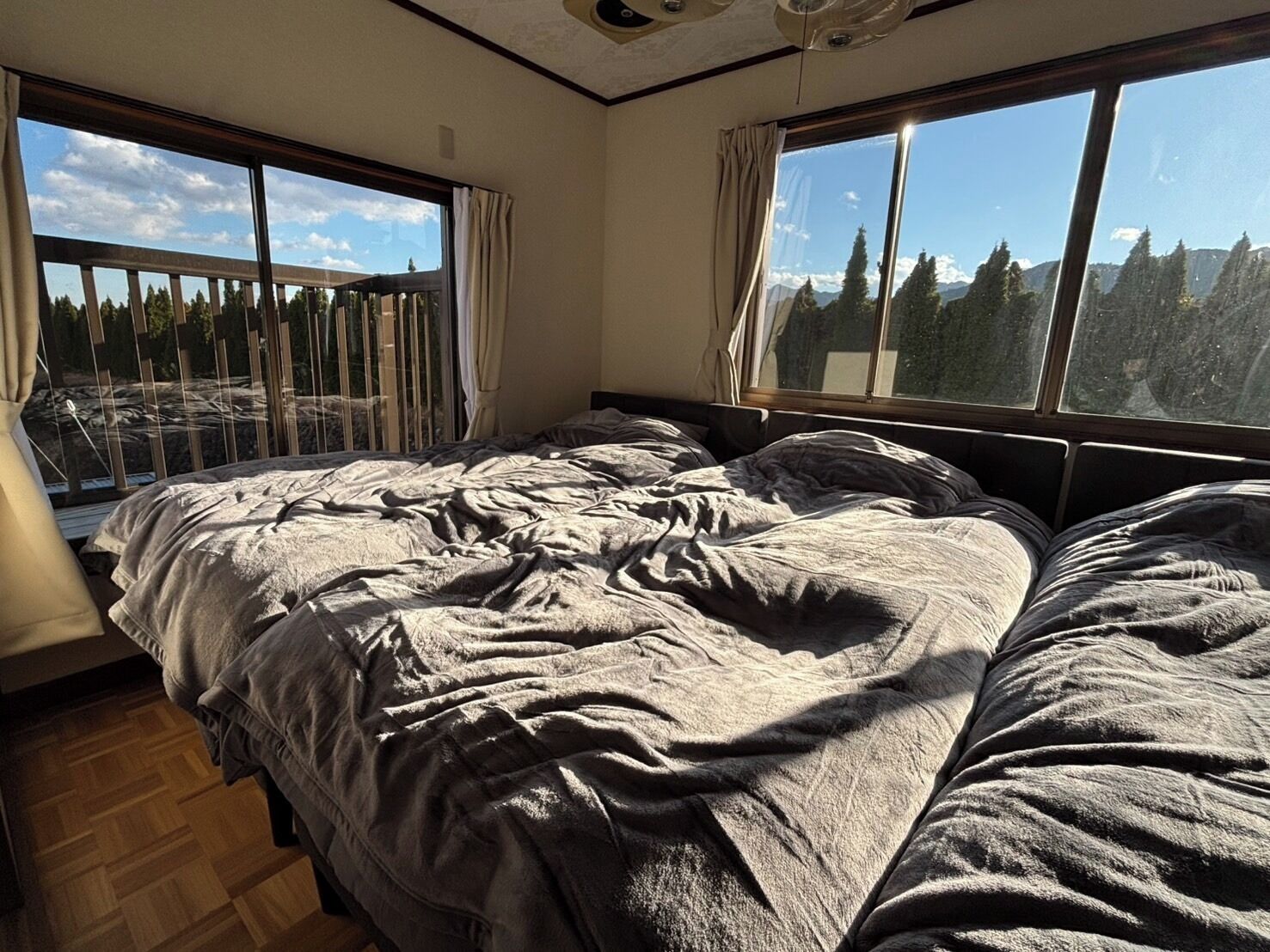 Desk, free WiFi, bed sheets