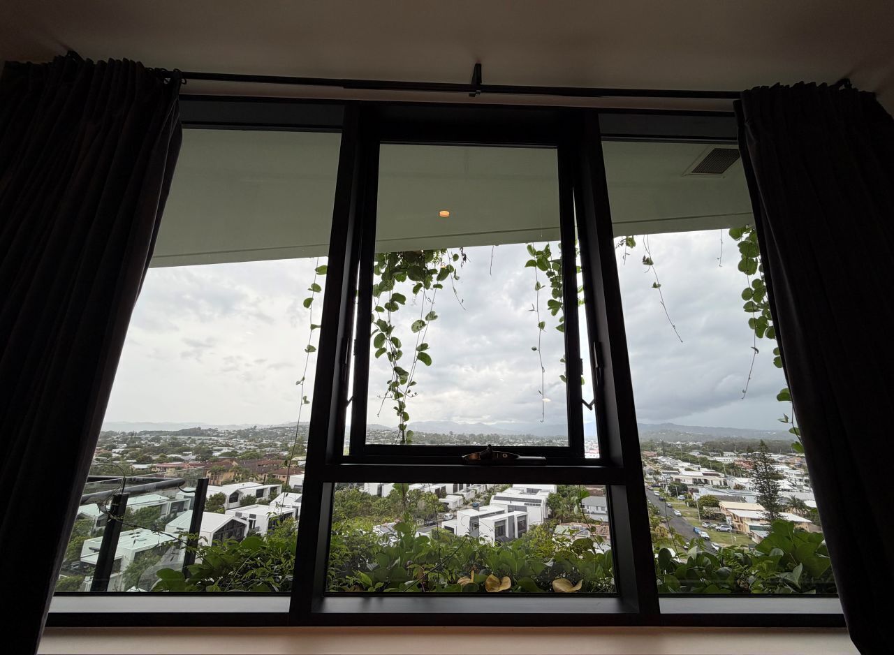 Ein Fenster mit Blick auf eine Stadtansicht, Vorhängen und hängenden Pflanzen.
