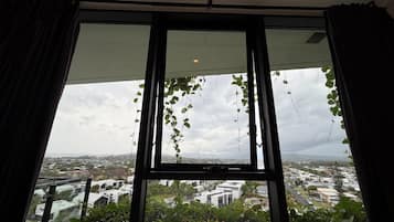 Ein Fenster mit Blick auf eine Stadtansicht, Vorhängen und hängenden Pflanzen.