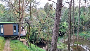 Una cabana moderna amb terrassa que ofereix vistes a una zona boscosa i un petit rierol.