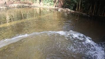 A calm river with clear water, surrounded by dense greenery and trees.