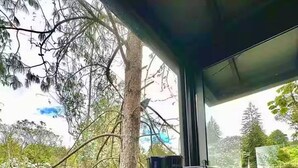 Un espace repas moderne avec une table en bois, un bol blanc et une machine à café.