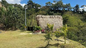 A grassy area with a thatched structure, surrounded by trees and shrubs.