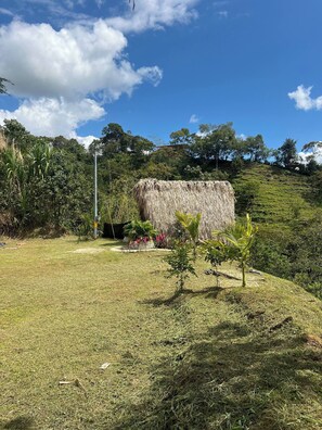 Terrain de l’hébergement 