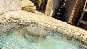 A clear pool with a rocky edge, surrounded by natural elements like rocks and bamboo.