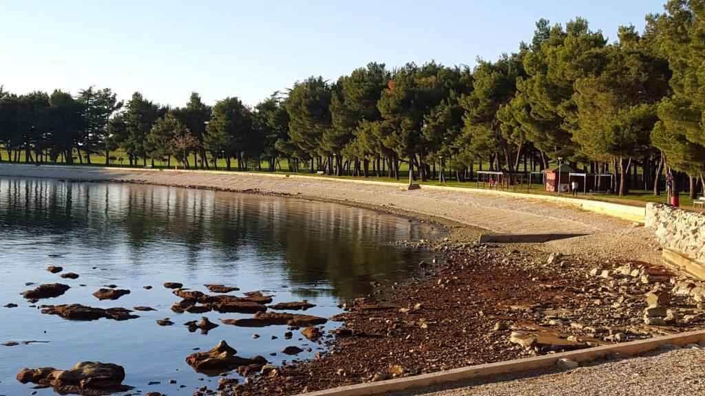 A lakeside park with a walking path, trees, and a stone wall.