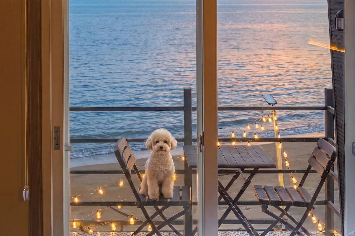 Basic Room, 1 Bedroom (Ocean View 205) | 1 bedroom, WiFi (free)