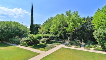 A well-maintained garden with a variety of trees and shrubs, a clear sky, and a gravel path.