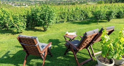 Holiday apartment with Wi-Fi, terrace and air conditioning