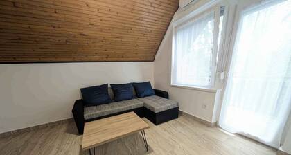Holiday apartment with Wi-Fi, terrace and air conditioning