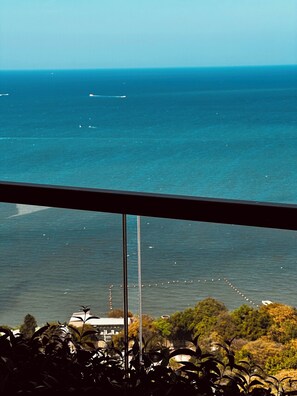 Interior - Cozy 1-bedroom apartment in awesome Pattaya with AC and gym access (pattaya)