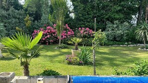 Ein gepflegter Garten mit verschiedenen Pflanzen und Blumen, einer kleinen Palme und einem Steingebilde.