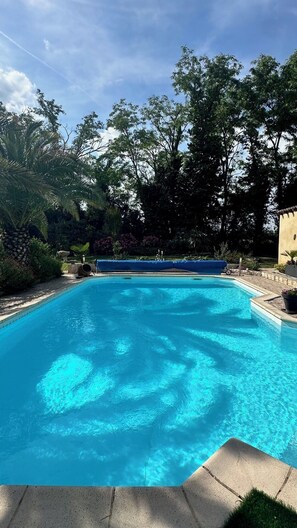Ein rechteckiger Pool mit klarem, blauem Wasser, umgeben von üppiger Vegetation und Bäumen.